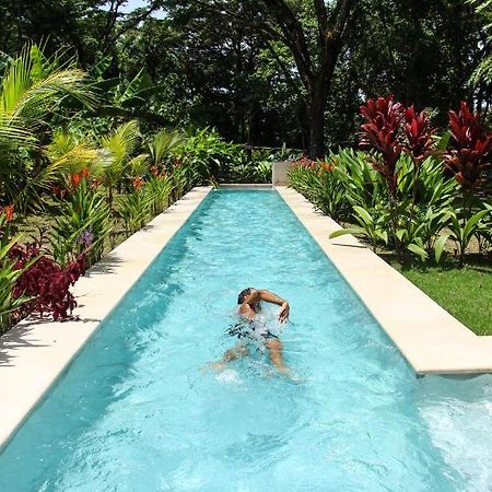 Feeling Trees Jungle Lodge Cabuya  Luaran gambar