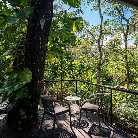 Feeling Trees Jungle Lodge Cabuya  Luaran gambar