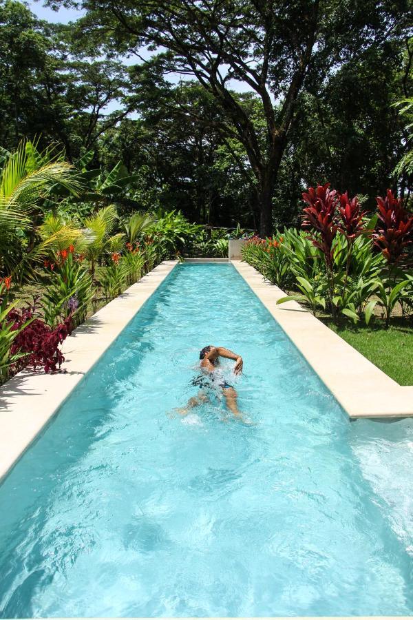 Feeling Trees Jungle Lodge Cabuya  Luaran gambar