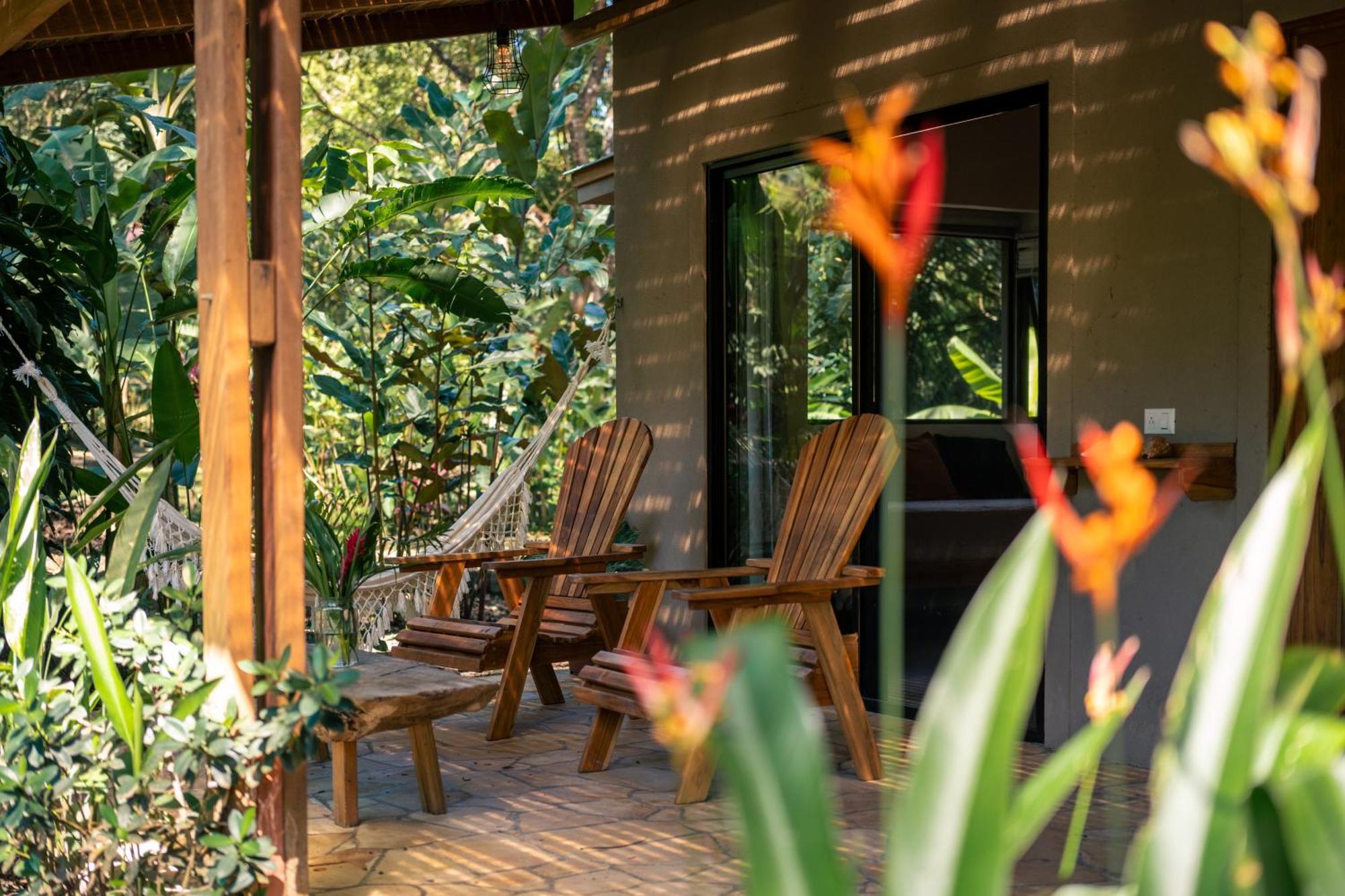 Feeling Trees Jungle Lodge Cabuya  Luaran gambar