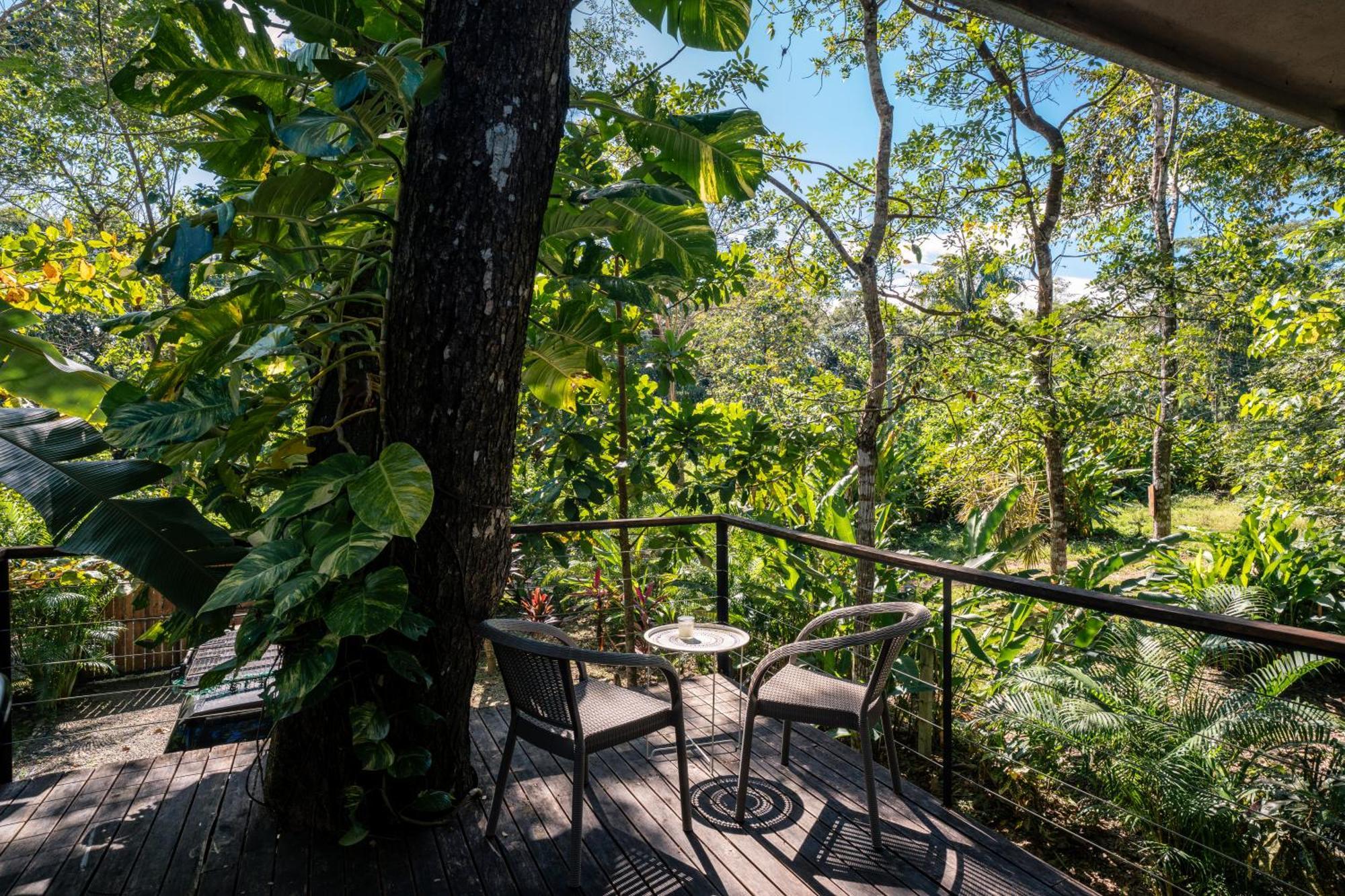 Feeling Trees Jungle Lodge Cabuya  Luaran gambar