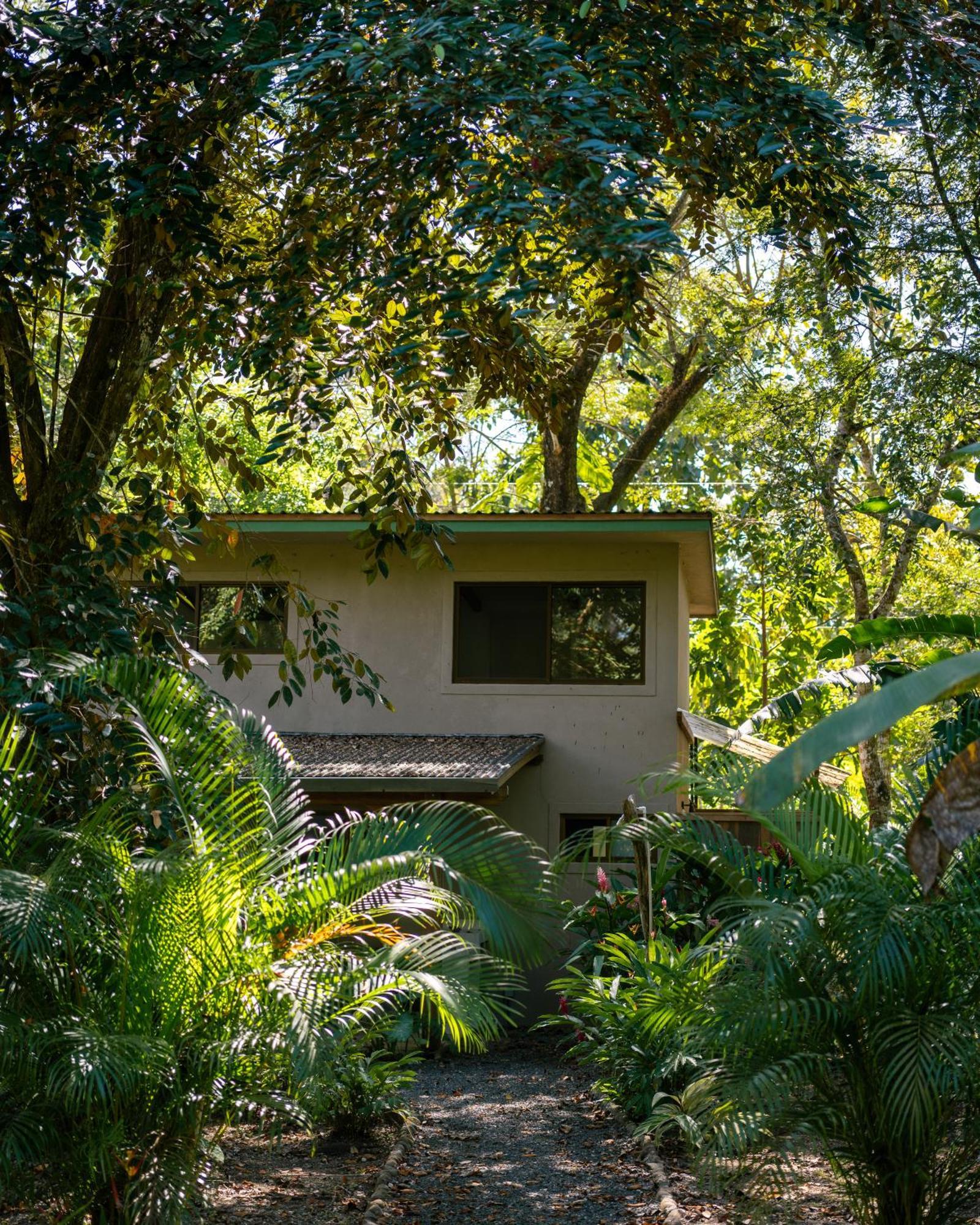 Feeling Trees Jungle Lodge Cabuya  Luaran gambar