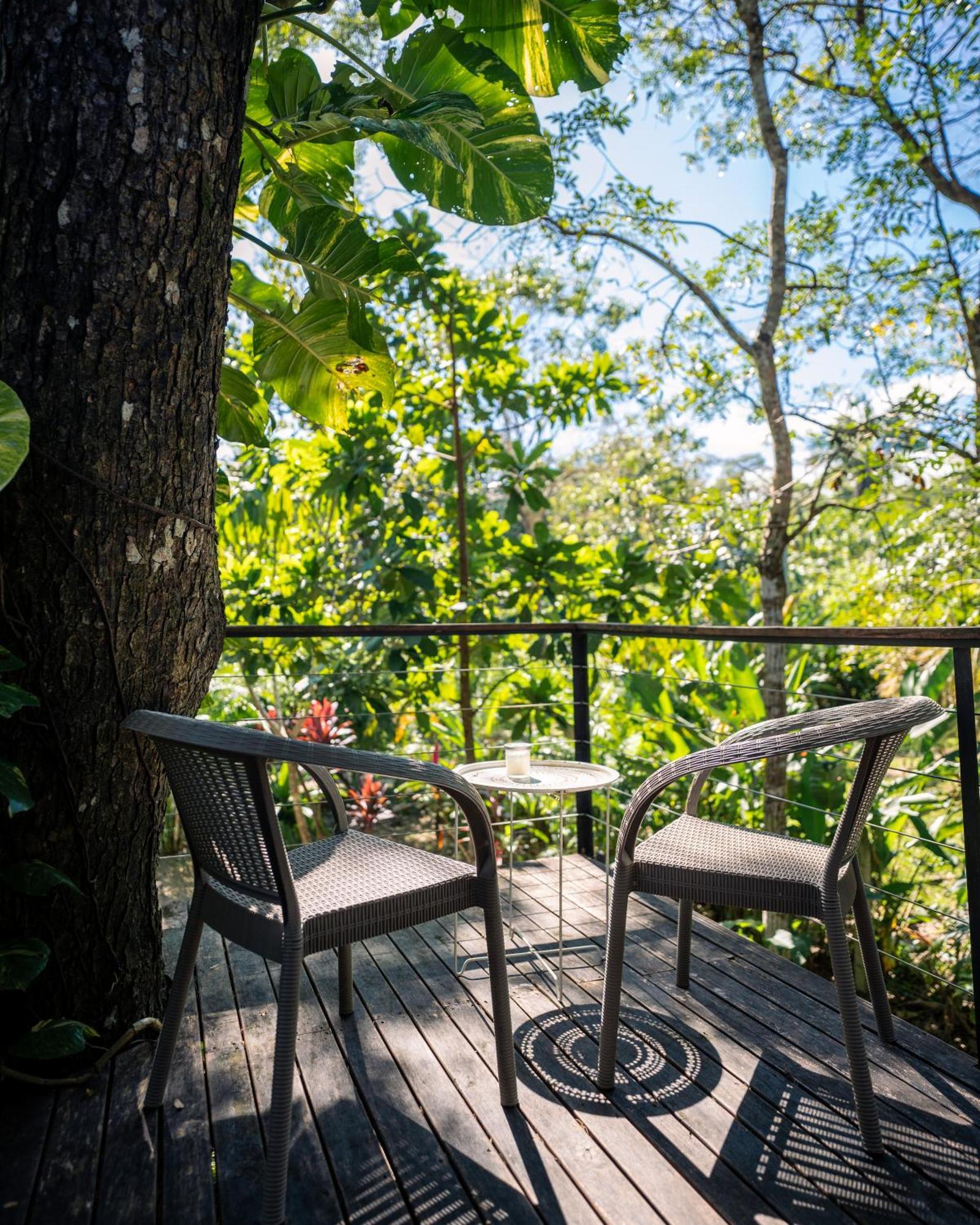 Feeling Trees Jungle Lodge Cabuya  Luaran gambar
