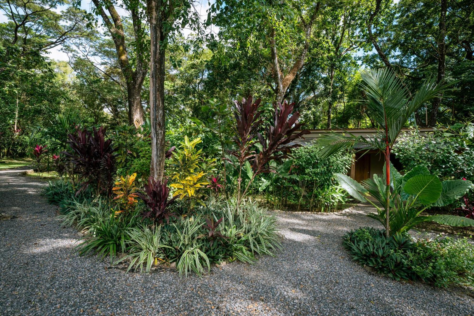 Feeling Trees Jungle Lodge Cabuya  Luaran gambar