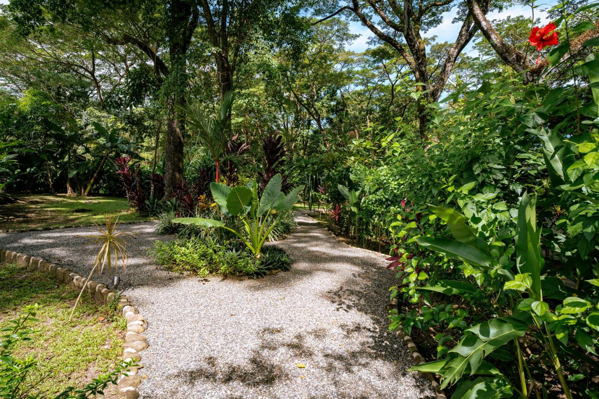 Feeling Trees Jungle Lodge Cabuya  Luaran gambar