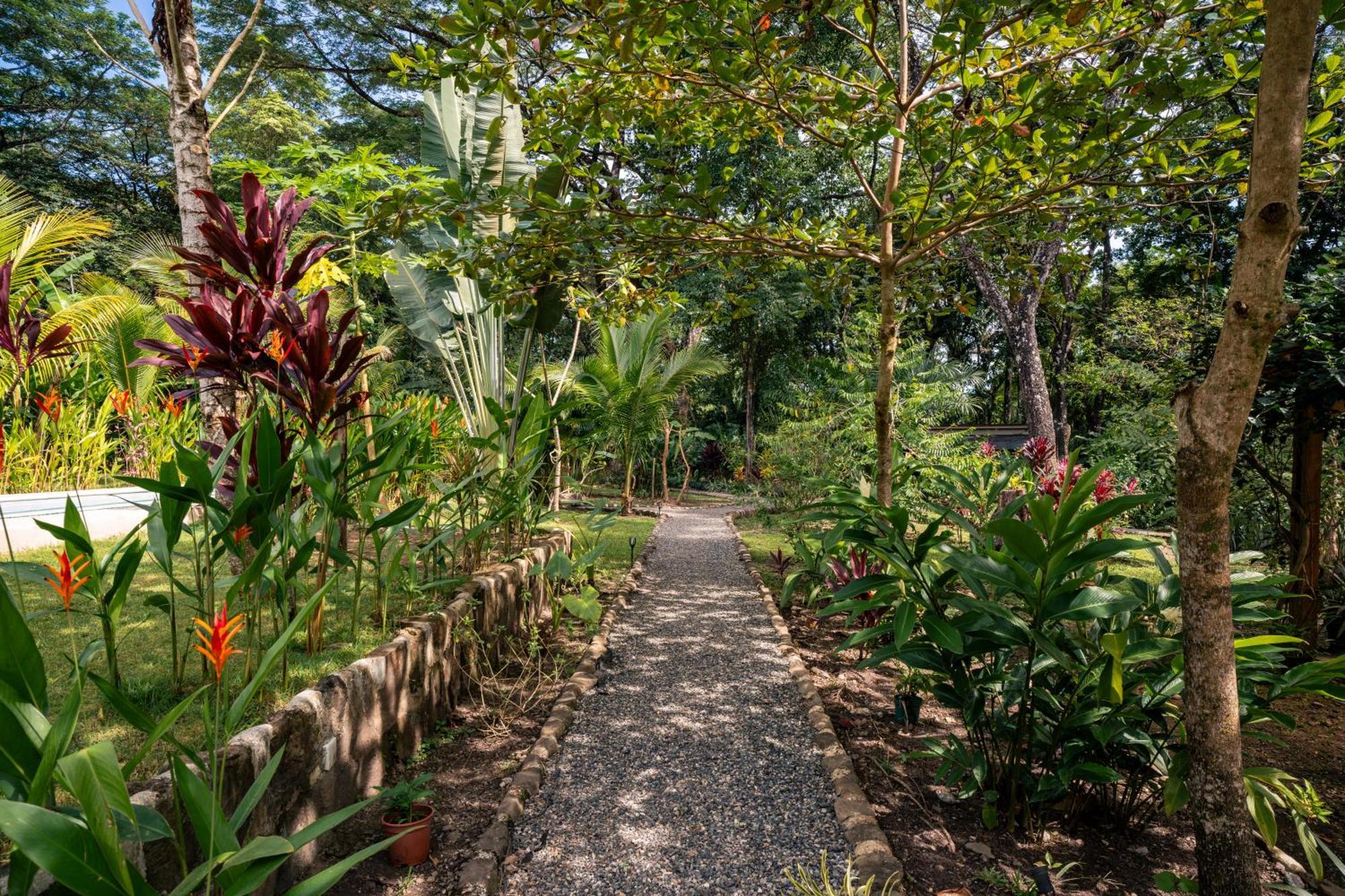 Feeling Trees Jungle Lodge Cabuya  Luaran gambar