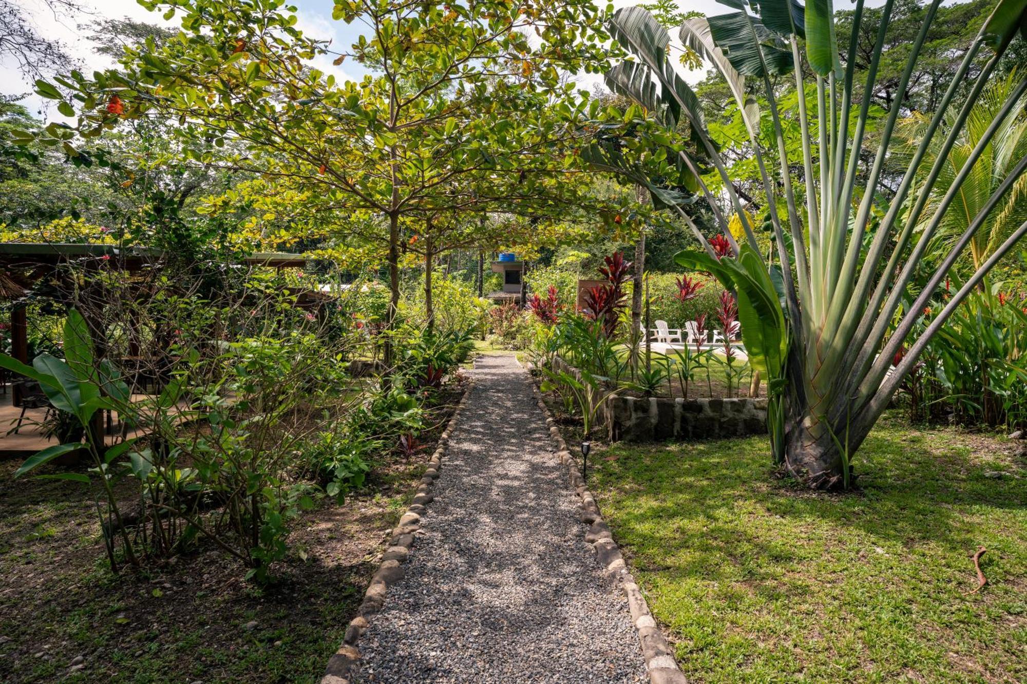 Feeling Trees Jungle Lodge Cabuya  Luaran gambar