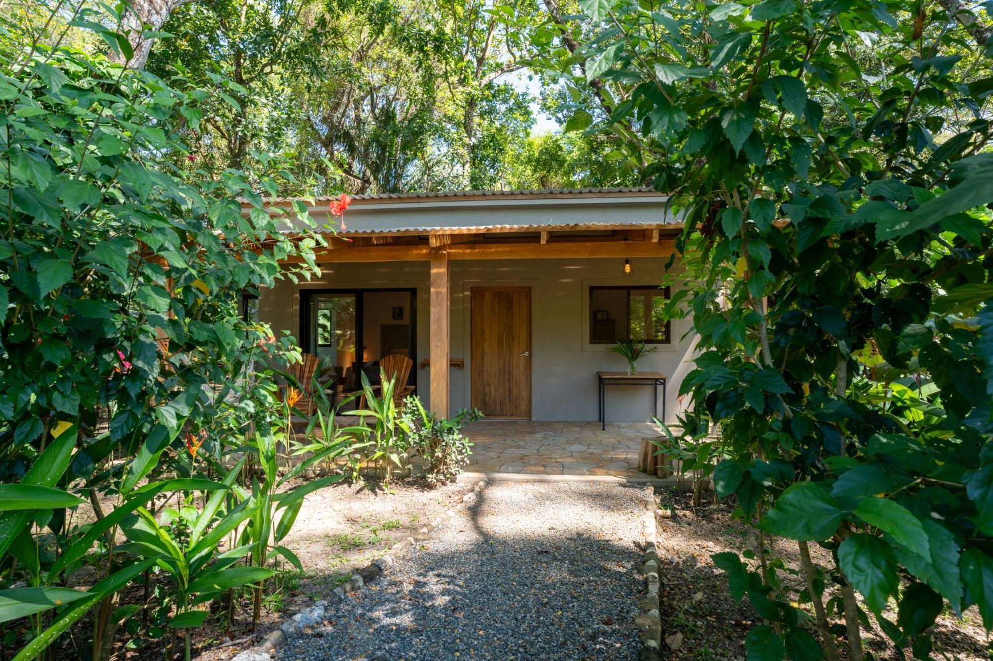 Feeling Trees Jungle Lodge Cabuya  Luaran gambar