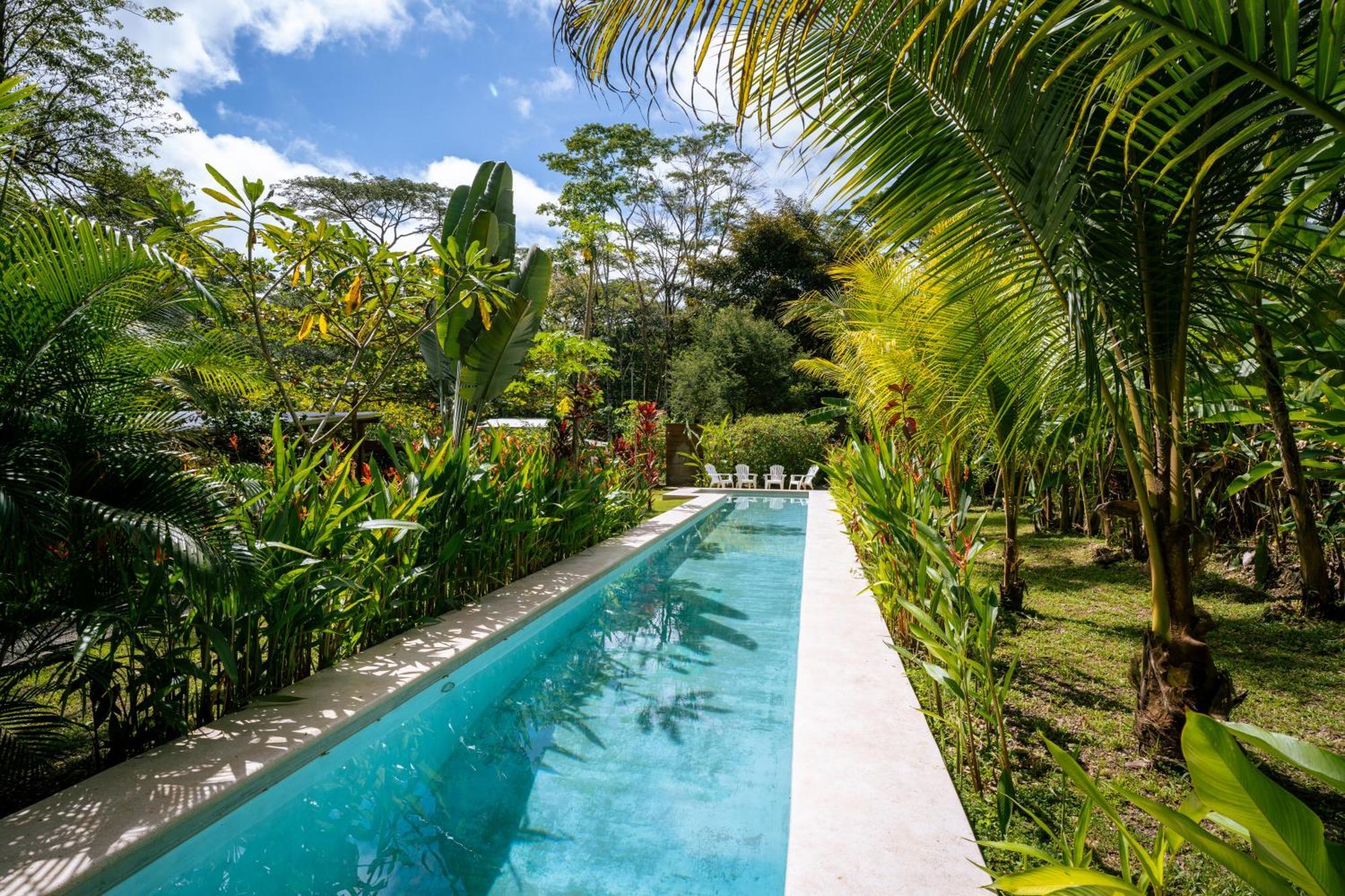 Feeling Trees Jungle Lodge Cabuya  Luaran gambar