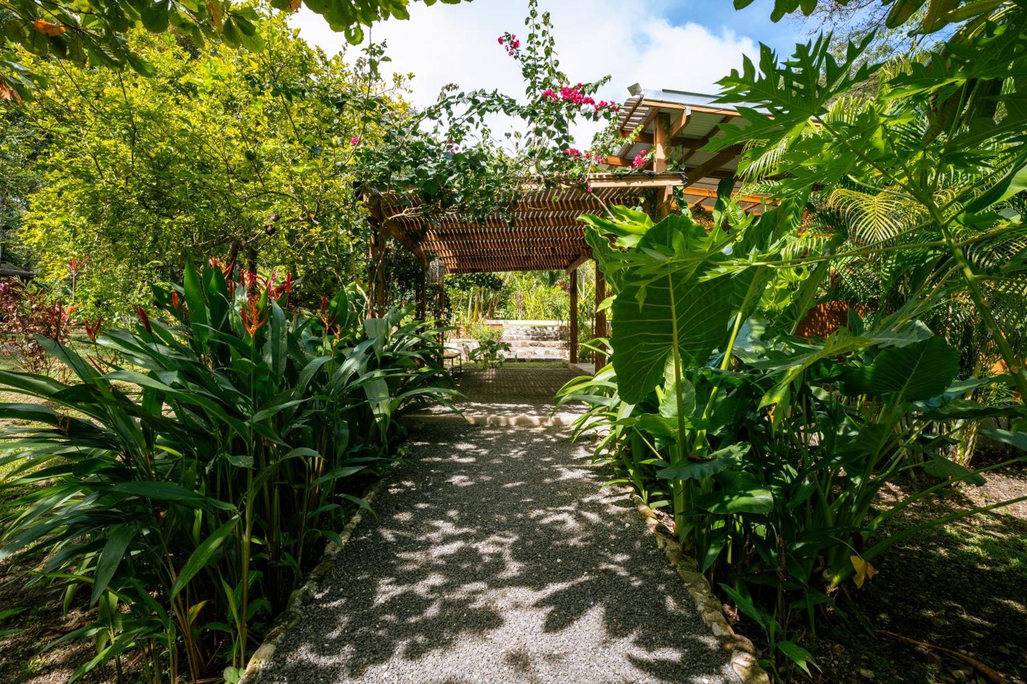 Feeling Trees Jungle Lodge Cabuya  Luaran gambar