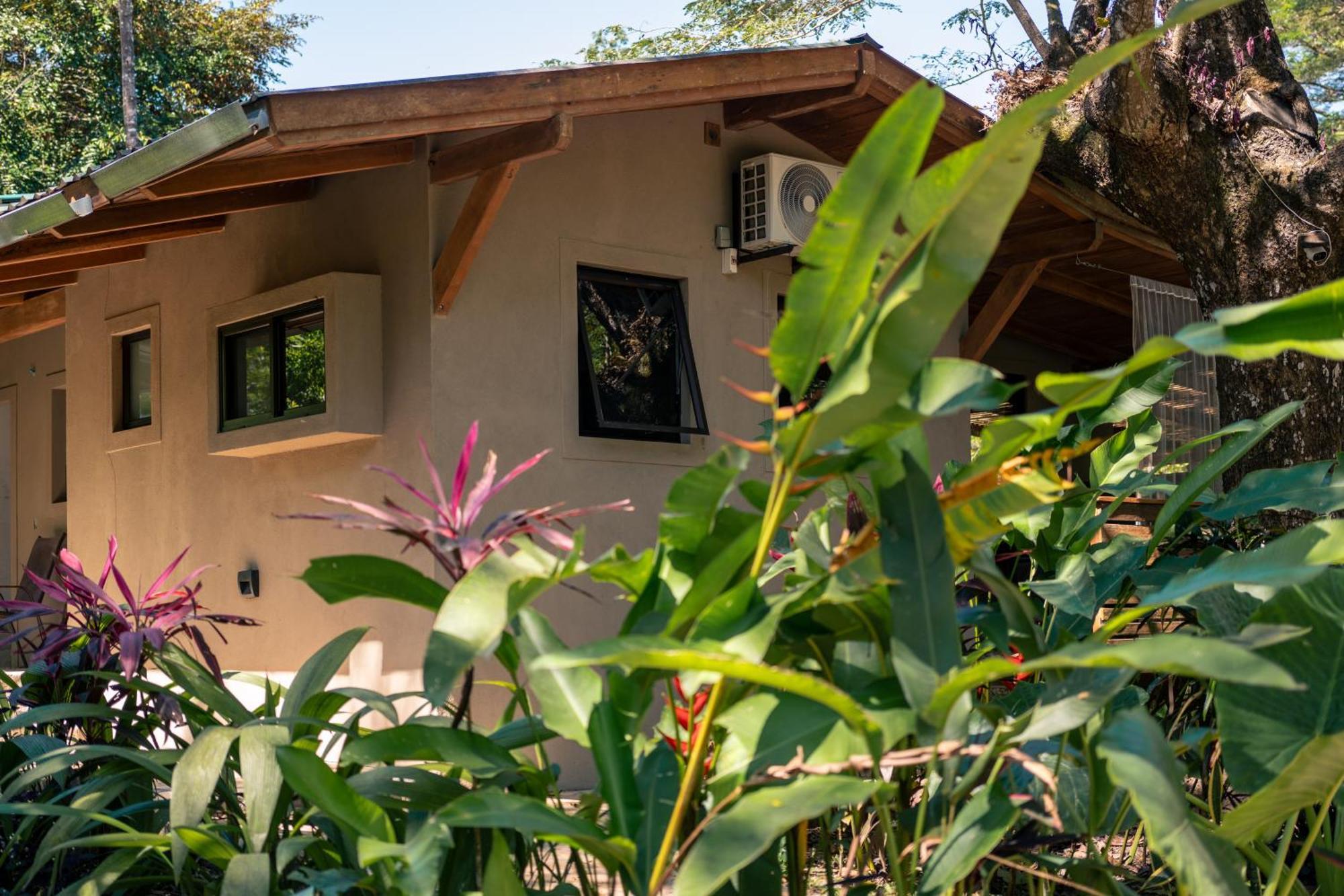 Feeling Trees Jungle Lodge Cabuya  Luaran gambar
