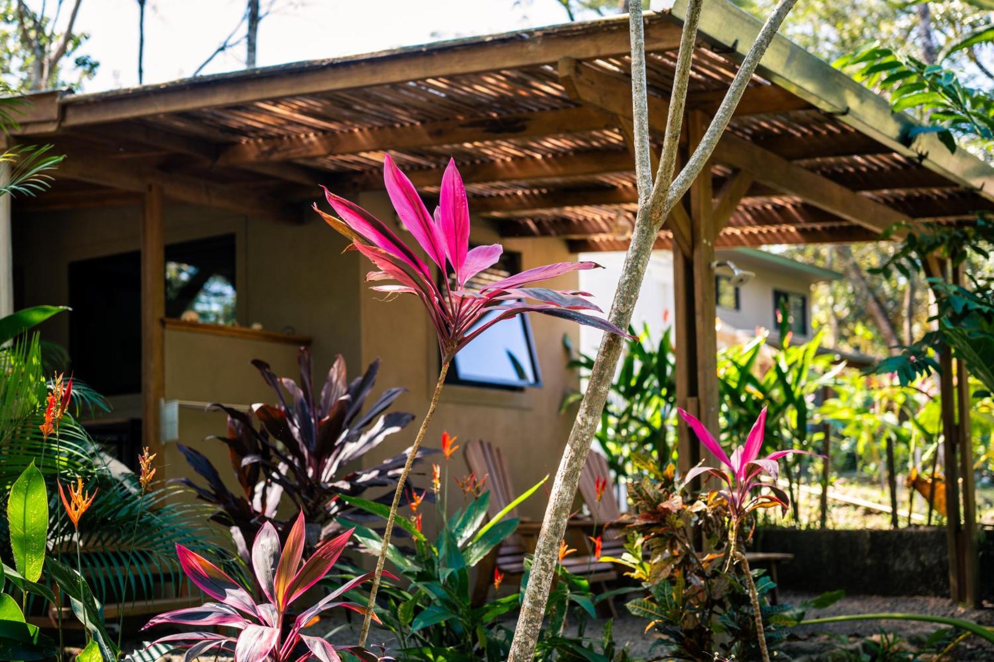 Feeling Trees Jungle Lodge Cabuya  Luaran gambar