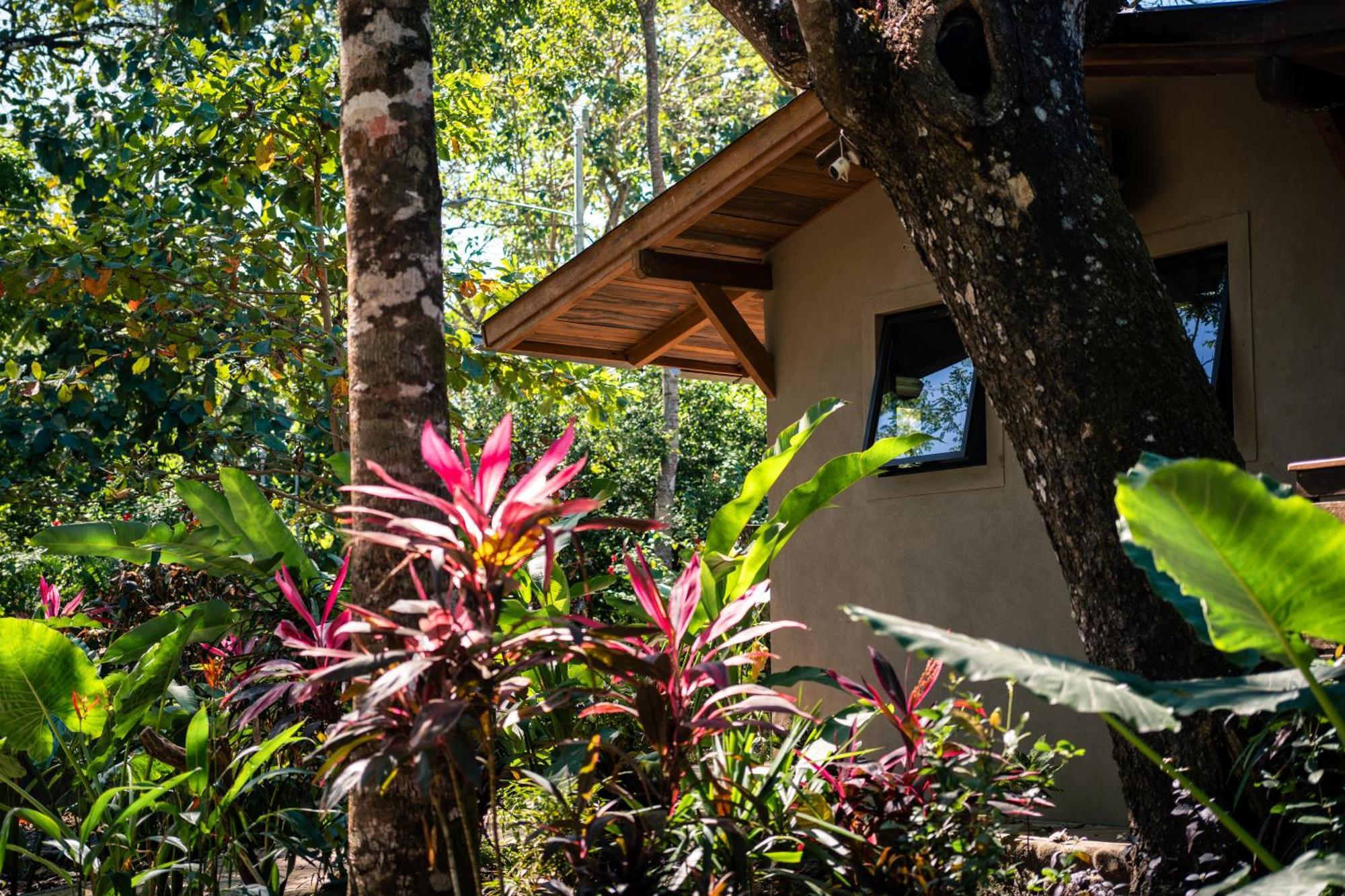Feeling Trees Jungle Lodge Cabuya  Luaran gambar