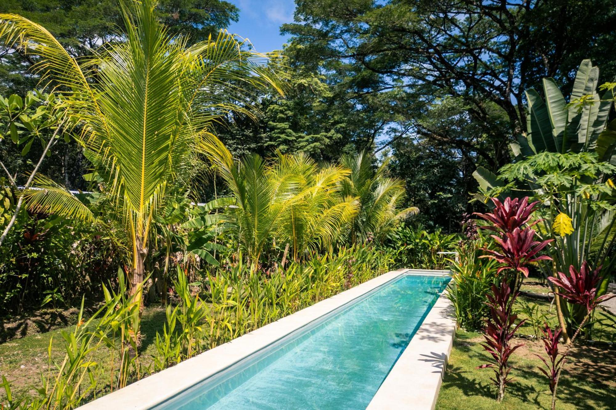 Feeling Trees Jungle Lodge Cabuya  Luaran gambar